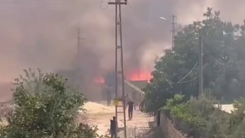 Adıyaman'da korkutan yangın