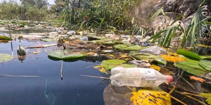 Antalya'da Kırkgöz Göleti Alarm Veriyor: Çöp Yığınları!