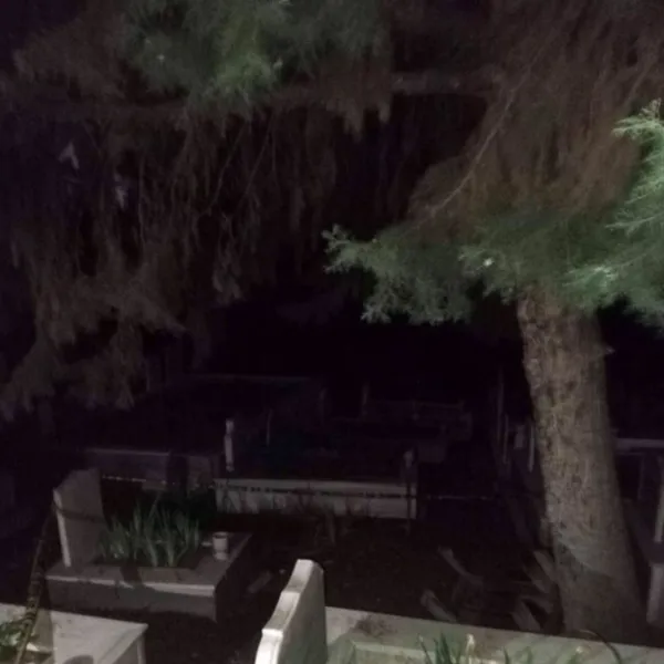 Armatör iş insanı mezarlıkta ölü bulundu!