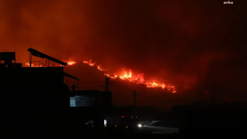 Hatay Yanıyor! 1680 Kişi Alevlerden Kaçtı