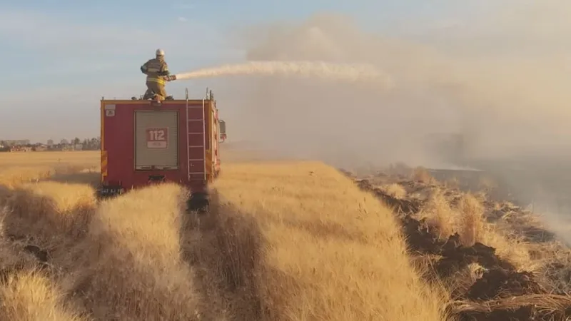Mardin'de buğday ekili alanda yangın! 350 dönüm alan zarar gördü