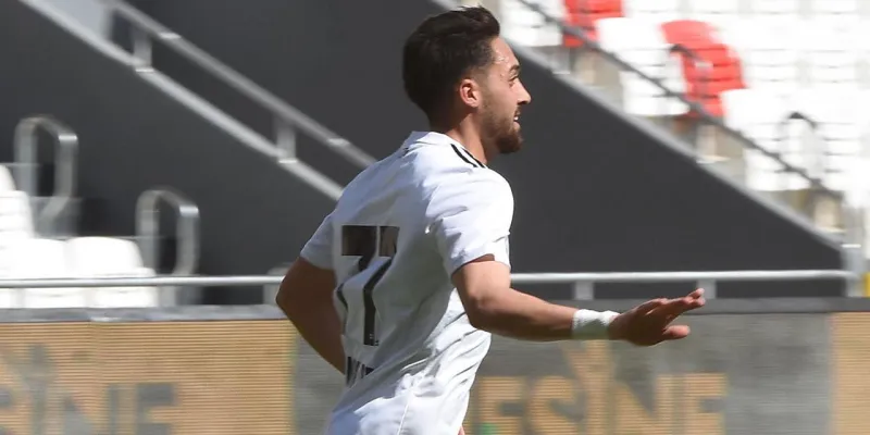 Altay'da Şok! 111 Yıllık Çınar Elden Mi Çıkıyor?