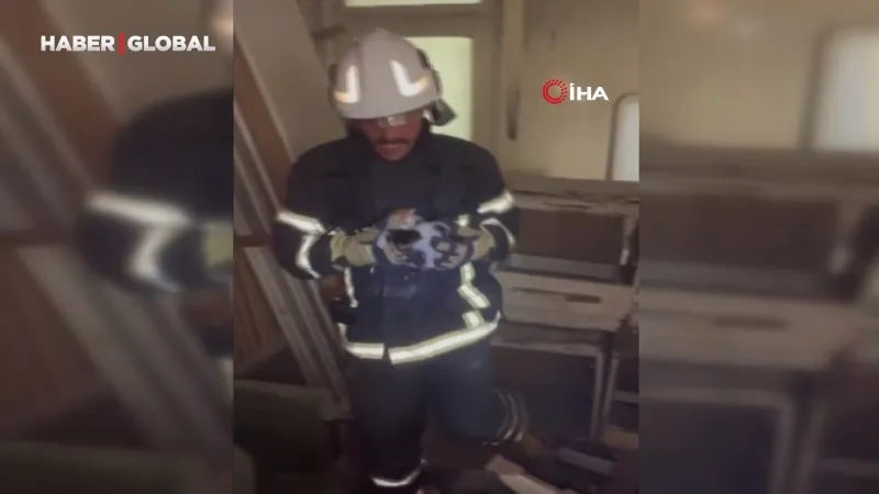 Yavru Kedilerin Mucize Kurtuluşu: Miyavlar Hayat Verdi!