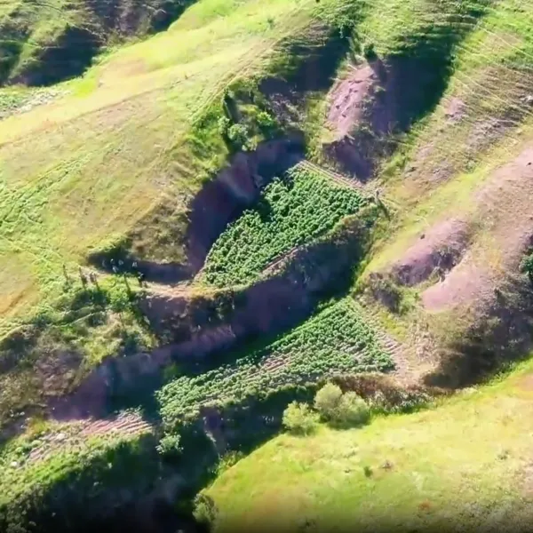 Yerlikaya duyurdu! Diyarbakır'da dev operasyon
